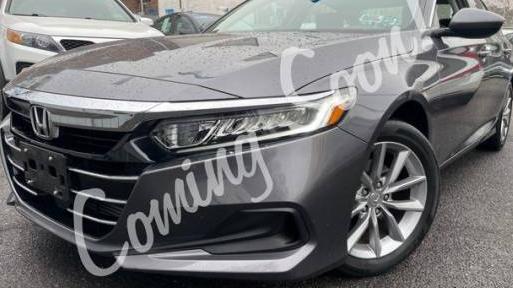 HONDA ACCORD 2022 1HGCV1F17NA004456 image