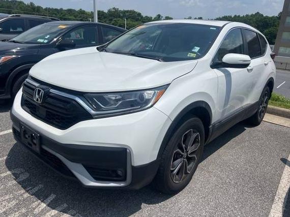 HONDA CR-V 2020 5J6RW2H80LA019958 image