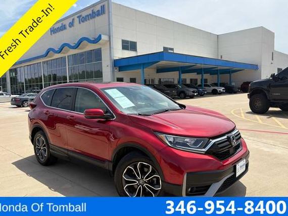 HONDA CR-V 2020 5J6RW1H88LL003859 image