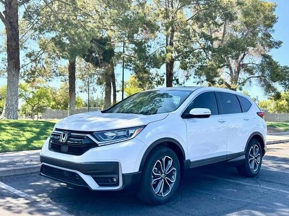 HONDA CR-V 2020 5J6RW1H80LA002894 image