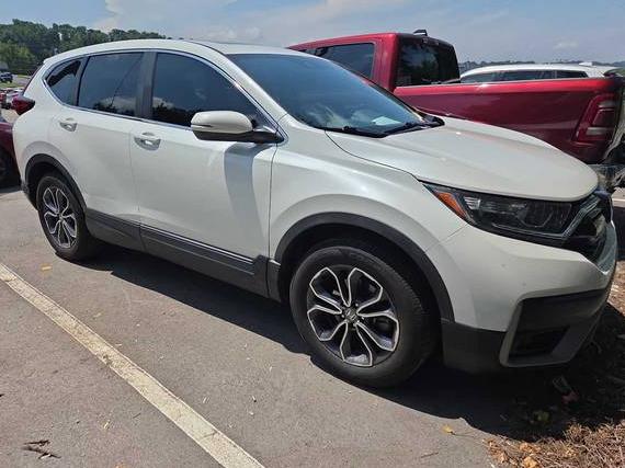 HONDA CR-V 2020 7FARW1H51LE027147 image