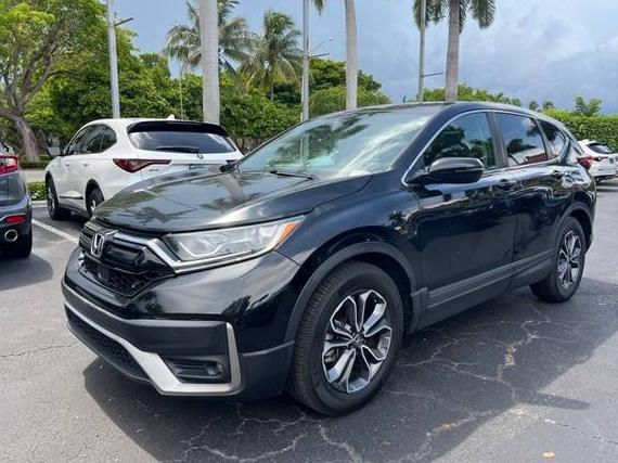 HONDA CR-V 2020 5J6RW1H86LL003276 image