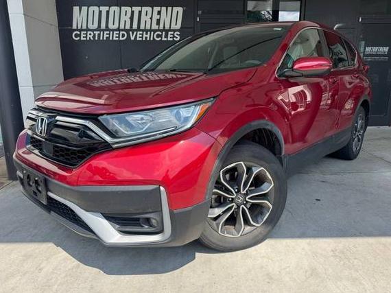 HONDA CR-V 2020 5J6RW2H55LL024129 image