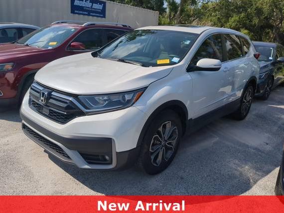 HONDA CR-V 2020 5J6RW1H80LA011529 image