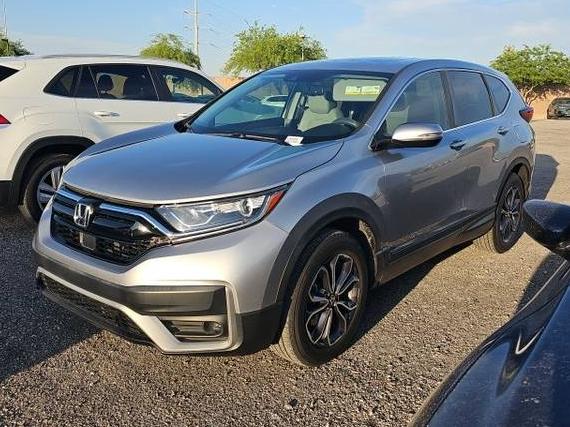 HONDA CR-V 2020 2HKRW2H87LH698206 image