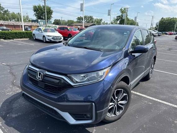 HONDA CR-V 2020 2HKRW2H85LH645567 image
