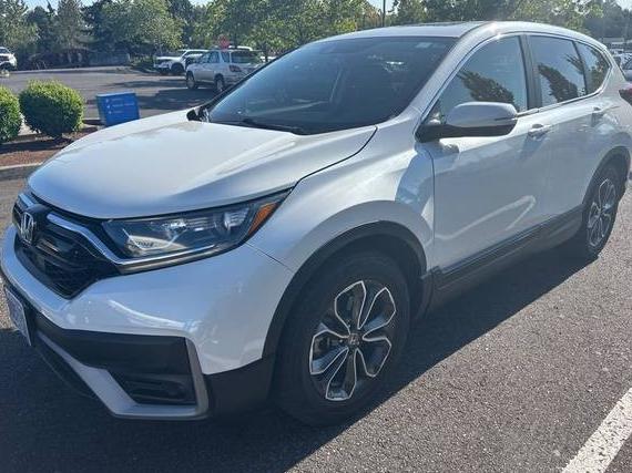 HONDA CR-V 2020 7FARW1H84LE014516 image