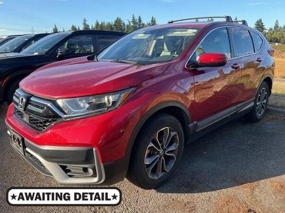 HONDA CR-V 2020 5J6RW2H81LA008435 image