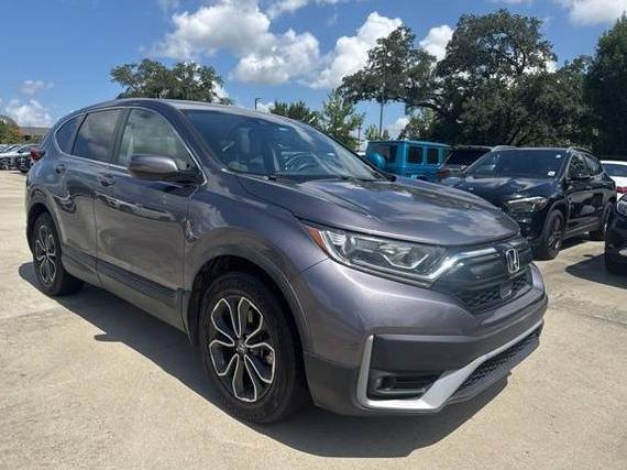 HONDA CR-V 2020 7FARW1H83LE012417 image