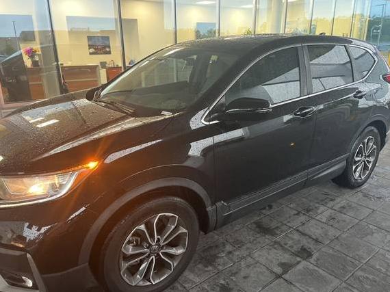 HONDA CR-V 2020 2HKRW1H58LH413237 image