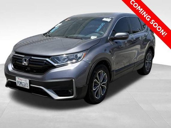HONDA CR-V 2022 5J6RW1H59NA023509 image