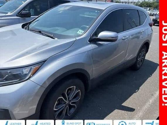 HONDA CR-V 2022 2HKRW2H82NH638403 image