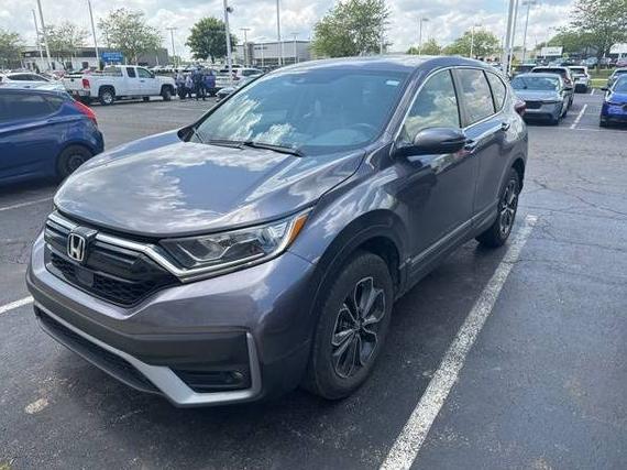HONDA CR-V 2022 7FARW2H84NE045354 image