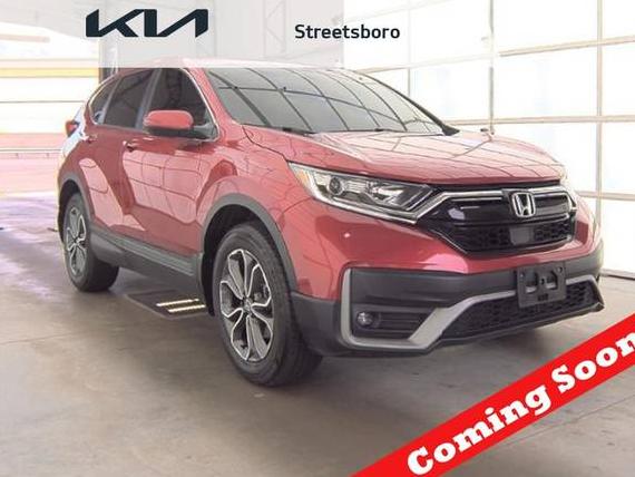 HONDA CR-V 2022 2HKRW2H89NH661905 image