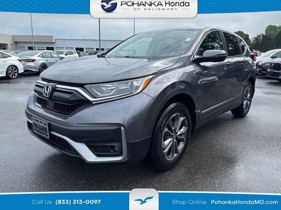 HONDA CR-V 2022 2HKRW2H50NH646151 image