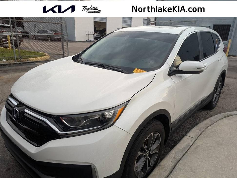 HONDA CR-V 2022 5J6RW1H59NA024014 image