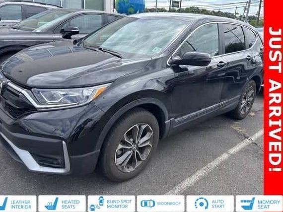 HONDA CR-V 2022 7FARW2H82NE030593 image