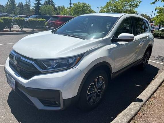 HONDA CR-V 2022 7FARW2H89NE047388 image