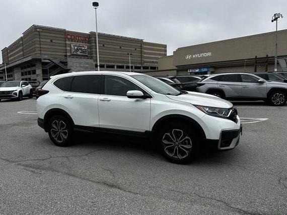 HONDA CR-V 2022 7FARW2H81NE034649 image