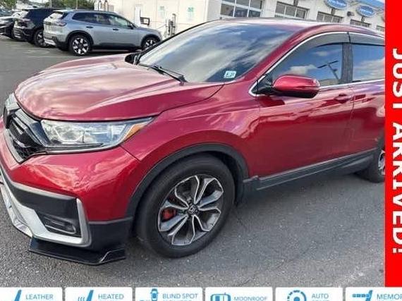 HONDA CR-V 2022 2HKRW2H88NH669655 image