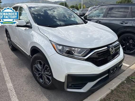 HONDA CR-V 2022 2HKRW2H51NH631416 image