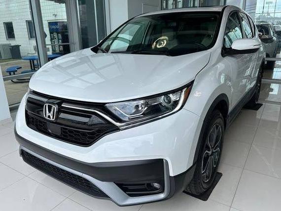 HONDA CR-V 2022 7FARW2H80NE034111 image