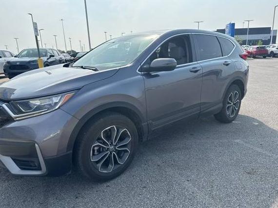 HONDA CR-V 2022 7FARW2H89NE027514 image