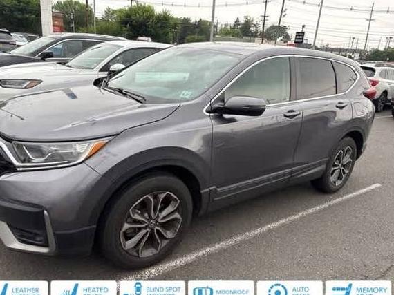HONDA CR-V 2022 7FARW2H80NE025571 image