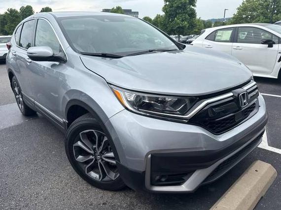HONDA CR-V 2022 7FARW2H53NE052396 image