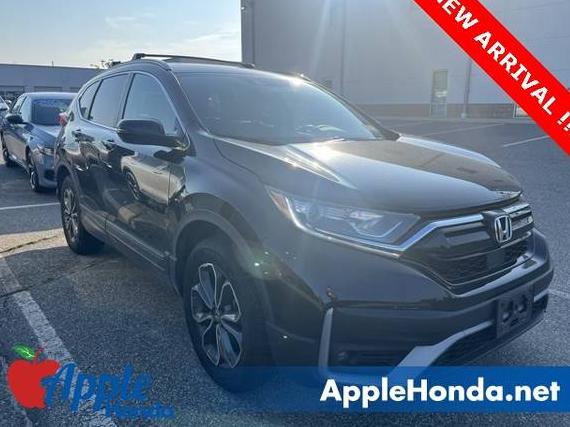 HONDA CR-V 2022 2HKRW2H80NH649979 image