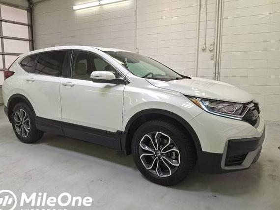 HONDA CR-V 2022 2HKRW2H81NH664653 image