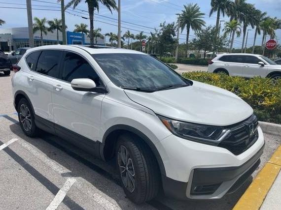 HONDA CR-V 2022 7FARW1H82NE020043 image