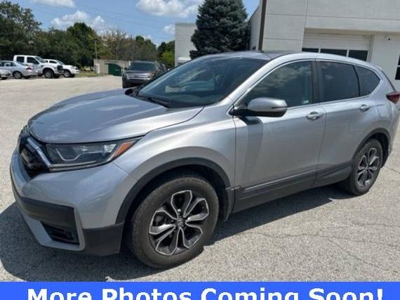 HONDA CR-V 2022 7FARW2H82NE022316 image