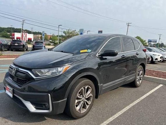 HONDA CR-V 2022 5J6RW2H50NA016504 image