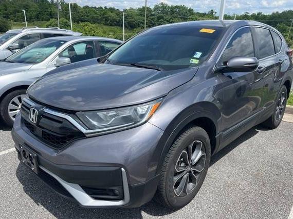 HONDA CR-V 2022 7FARW2H88NE027570 image