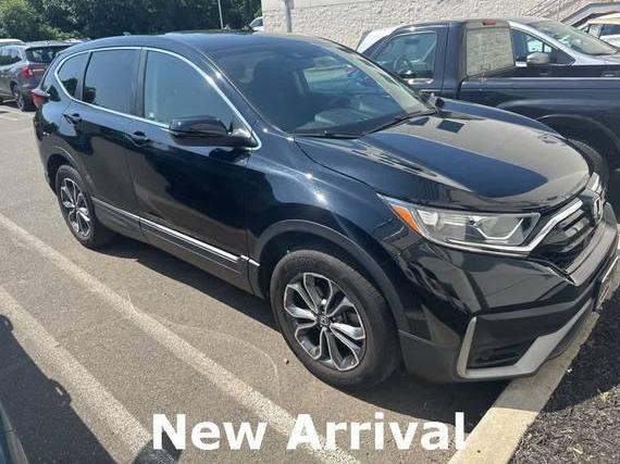 HONDA CR-V 2022 2HKRW2H50NH626207 image