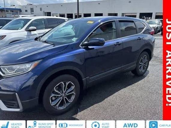HONDA CR-V 2022 5J6RW2H56NA008472 image