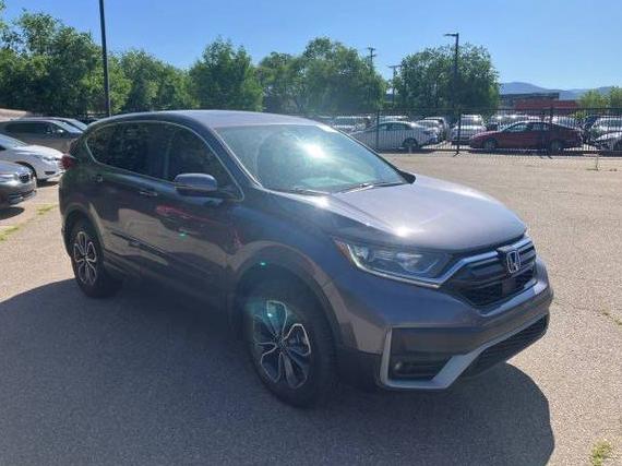 HONDA CR-V 2022 7FARW2H57NE046293 image