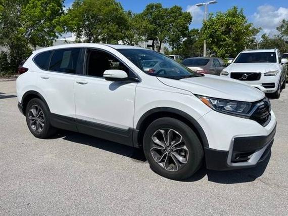 HONDA CR-V 2022 5J6RW1H59NA016737 image