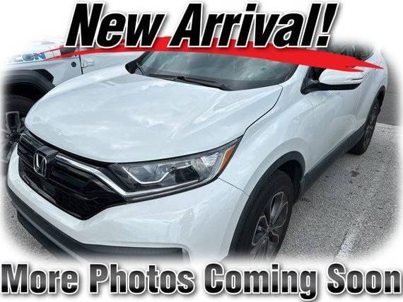 HONDA CR-V 2022 7FARW2H88NE052887 image