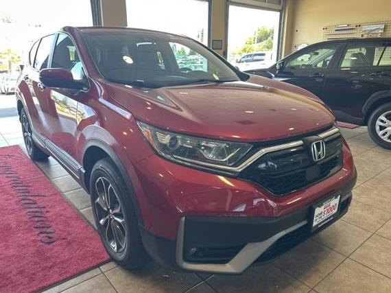 HONDA CR-V 2022 7FARW2H85NE044875 image