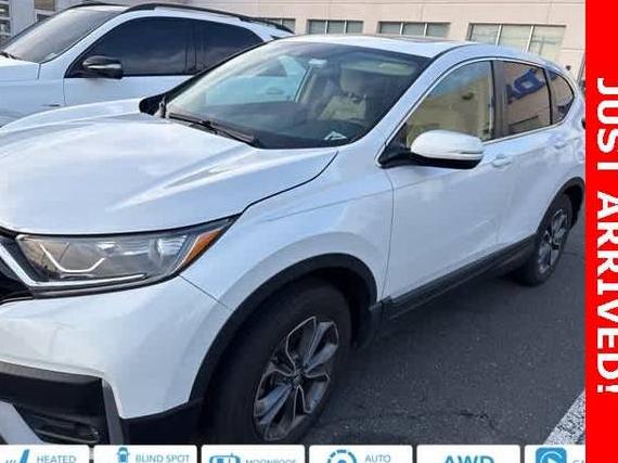 HONDA CR-V 2022 5J6RW2H51NA014065 image