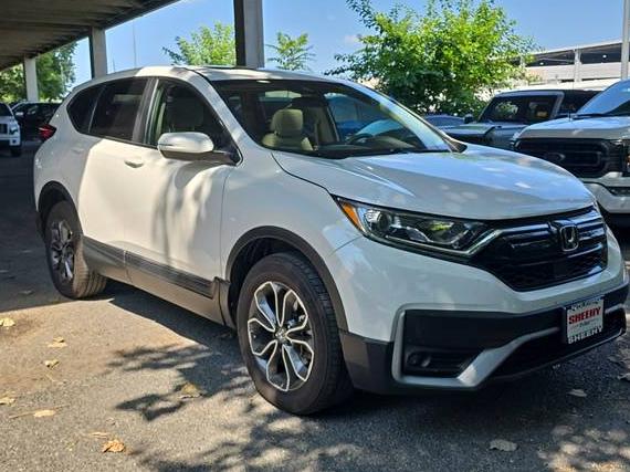 HONDA CR-V 2022 2HKRW2H50NH613263 image