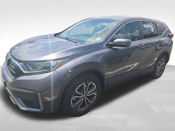 HONDA CR-V 2022 2HKRW2H54NH628719 image