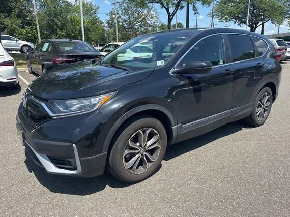 HONDA CR-V 2022 7FARW2H50NE035958 image