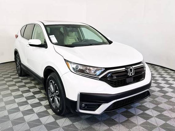 HONDA CR-V 2022 5J6RW1H51NA018451 image
