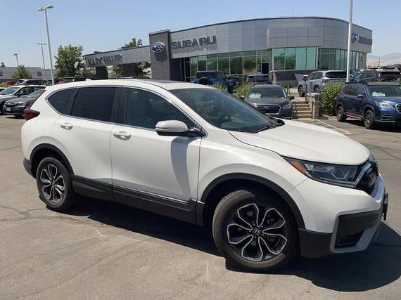 HONDA CR-V 2022 2HKRW2H54NH631765 image