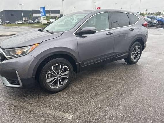 HONDA CR-V 2022 7FARW2H81NE031329 image