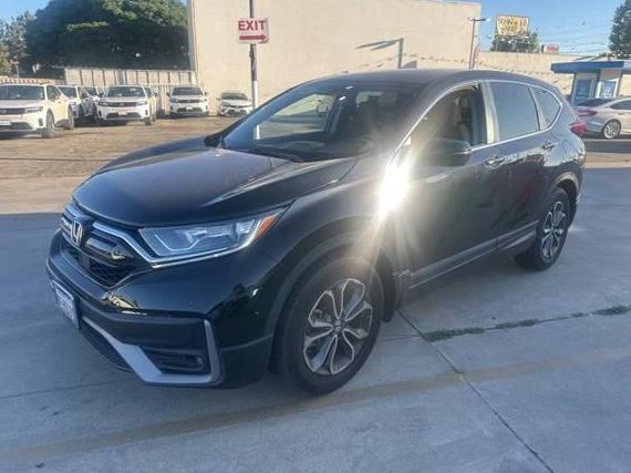 HONDA CR-V 2022 7FARW1H5XNE017252 image