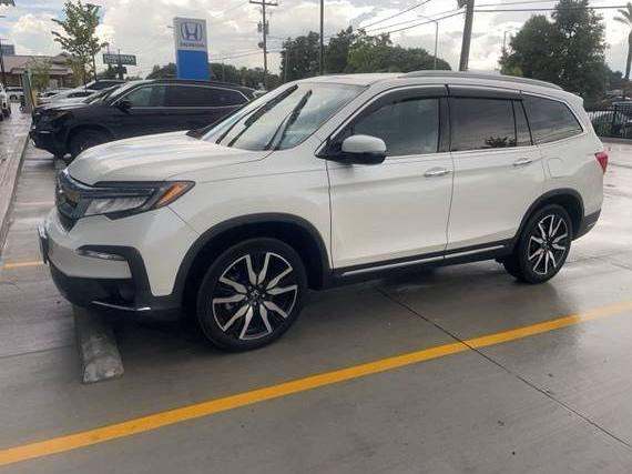 HONDA PILOT 2019 5FNYF5H62KB032718 image